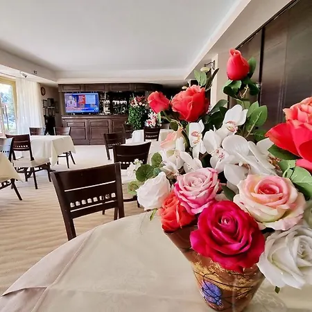 Condor Hotel 4*